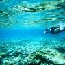 小浜島　シュノーケリング　パパァ待ってぇ～