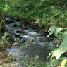 御所湖広域公園尾入野湿生植物園7