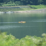 御所湖広域公園 塩ヶ森水辺園地3