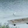 御所湖広域公園 塩ヶ森水辺園地2