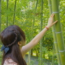 竹の音