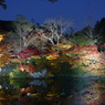 P1020643