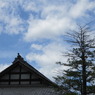 高山の空