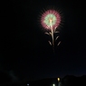 夜の向日葵