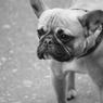 IMG_2313