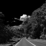 果てなき道