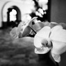 P8272005