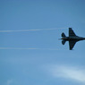 F-2A／B 飛行展示 3