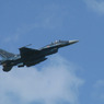 F-2A／B 飛行展示 6
