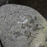 _DSC0078