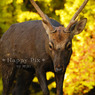 2007-11-24_0031