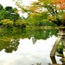 兼六園にて。