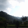 田舎