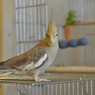 _DSC0074