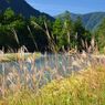 秋はもうすぐ