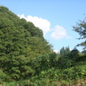 山