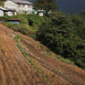 山の暮らし