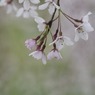 _IMG5746