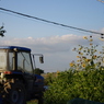 IMGP5805