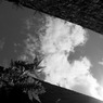 RIMG0017