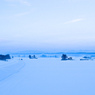 scent of winter