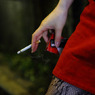 Marlboro