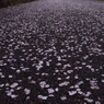 花道