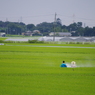 市