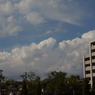 cumulus