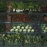 野菜