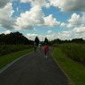 GRD_R0015302