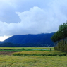 弥彦山、国上山と夏井のはさ木