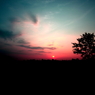 Dawn