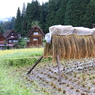 合掌造りの里のかさ掛け