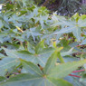 2011092415440001