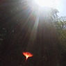 2011092413270002