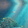 20110926　サンシャイン水族館１６