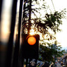 東山 Down Slope