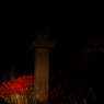 紅い疑惑