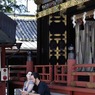 日光３