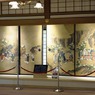 日光１０