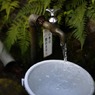 日光９
