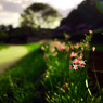 公園で