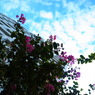 GRD_R0015588