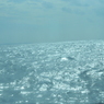 光る海