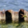 _DSC8143
