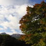 裏磐梯012