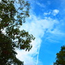 秋の空