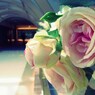 RIMG3766