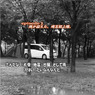 ＣARRRV 11 1